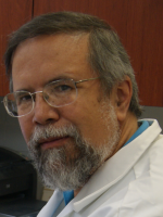 Gilberto Castañeda-Hernández