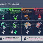 The complex journey of a vaccine