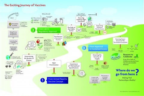 The Exciting journey of a vaccine