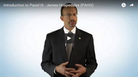 Introduction to panel III – James Hospedales (PAHO)
