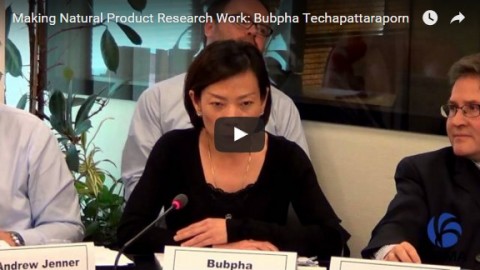 Making natural product research work: Bubpha Techapattaraporn