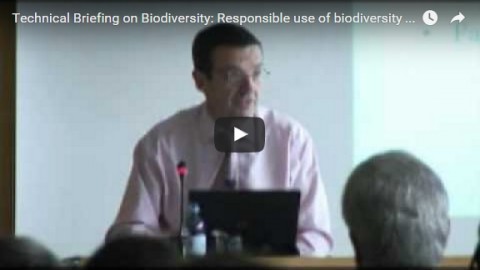 Technical Briefing on Biodiversity: Responsible use of biodiversity – Industry perspective, part 2