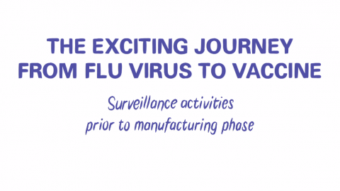 The Exciting Journey from Flu Virus to Vaccine- Surveillance activities