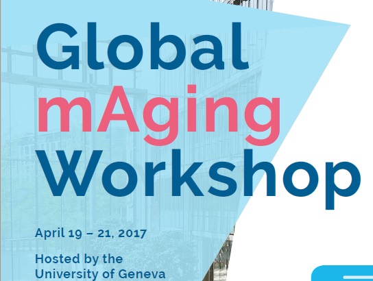Global workshop on mHealth for Ageing