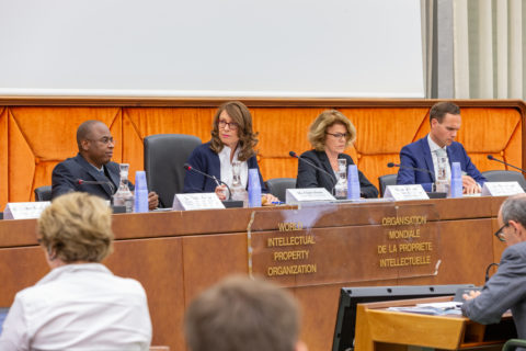 Copyright: WIPO. Photo: Emmanuel Berrod