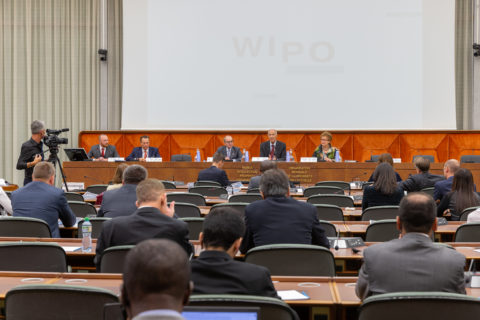 Copyright: WIPO. Photo: Emmanuel Berrod