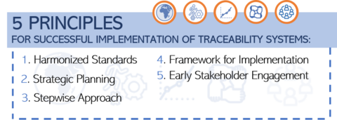 Identification & Traceability of Medicinal Products – A tool towards strengthening health systems